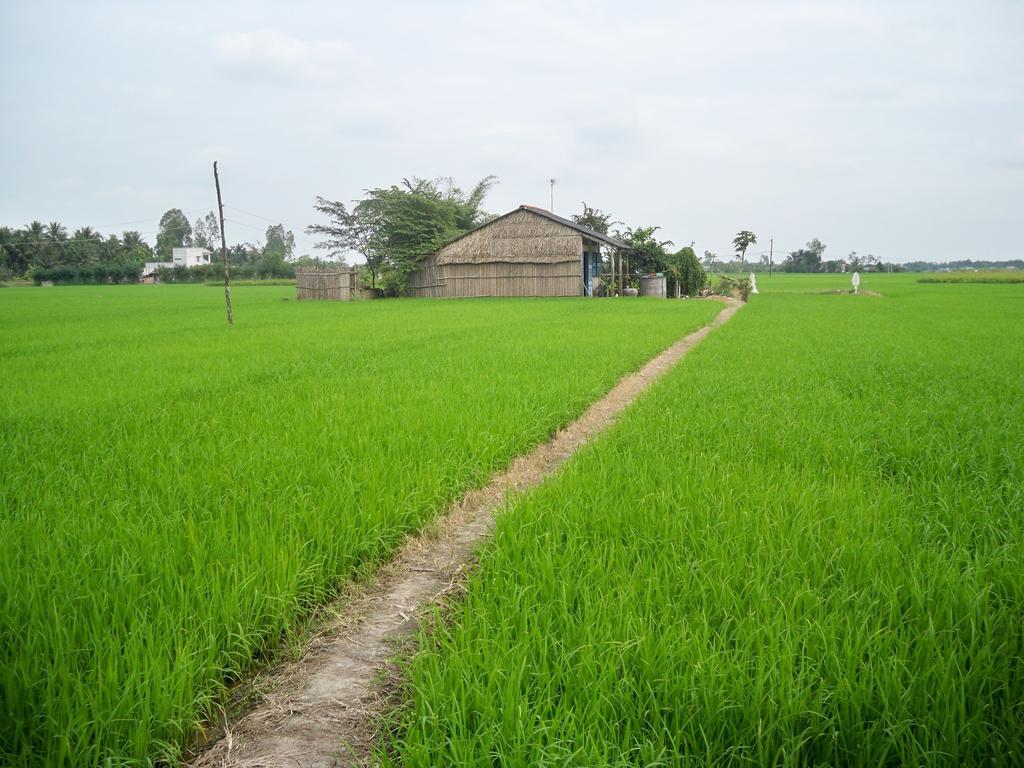 Green Areca Villa Hội An Extérieur photo