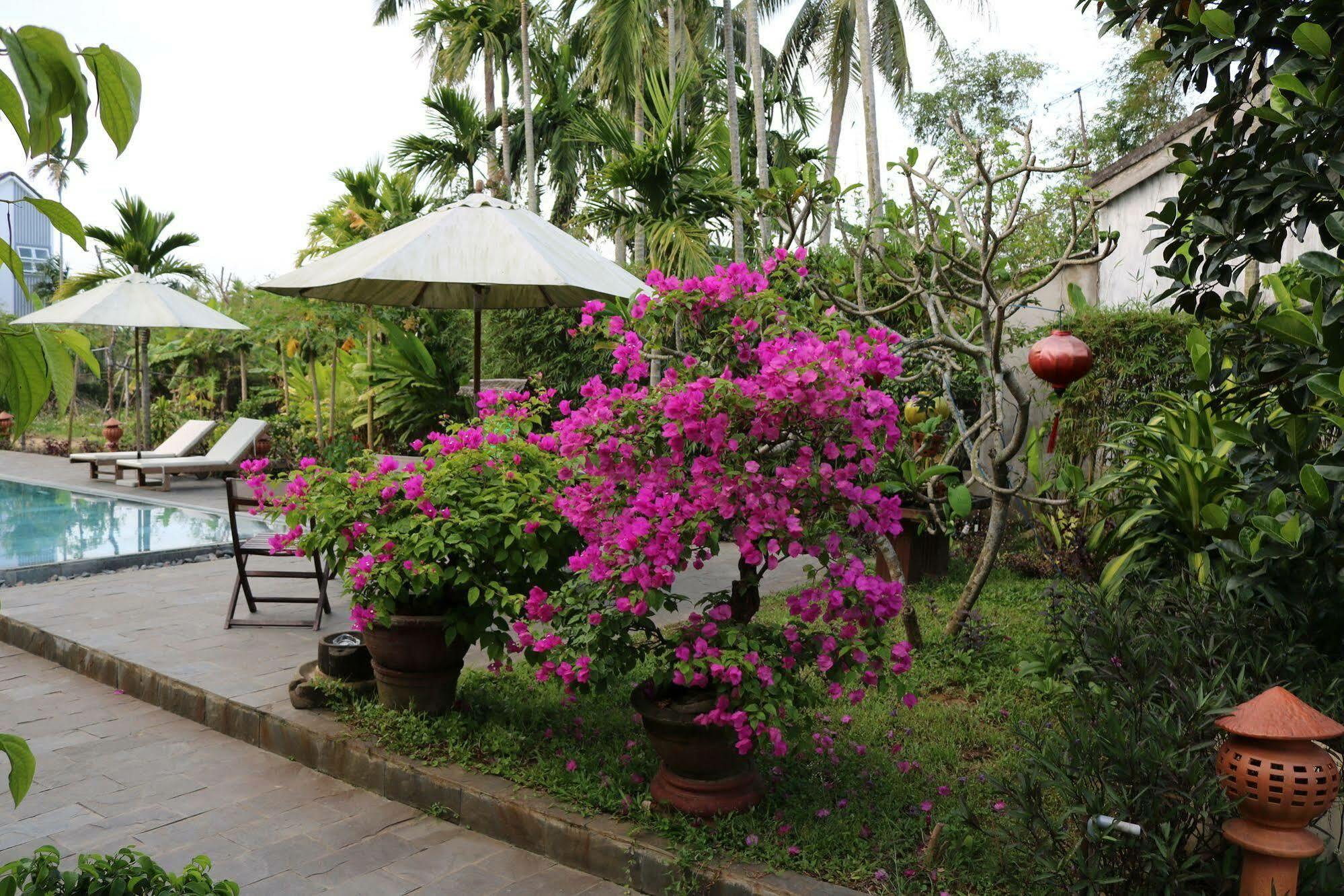 Green Areca Villa Hội An Extérieur photo