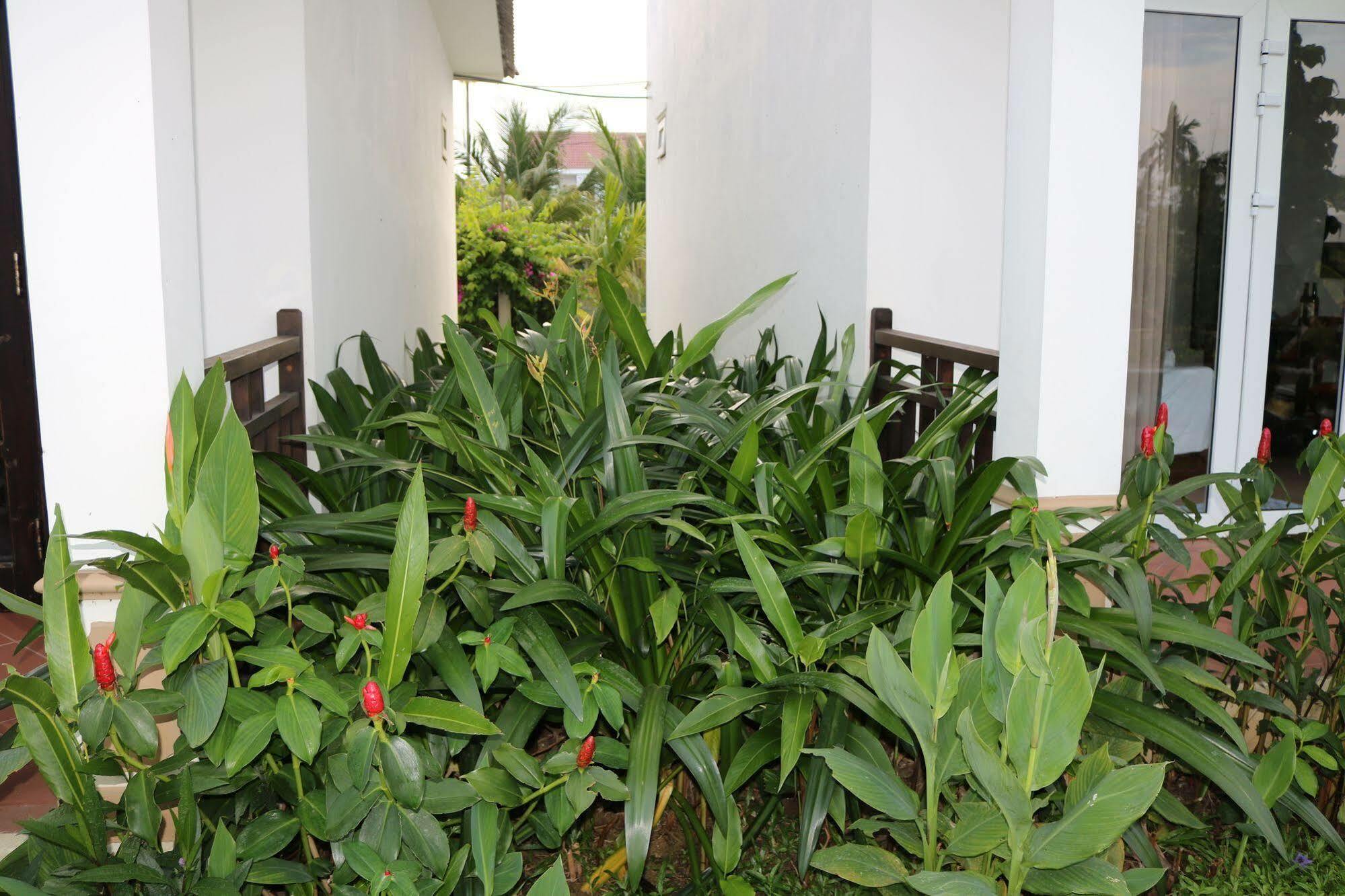 Green Areca Villa Hội An Extérieur photo